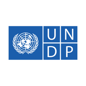 UNDP